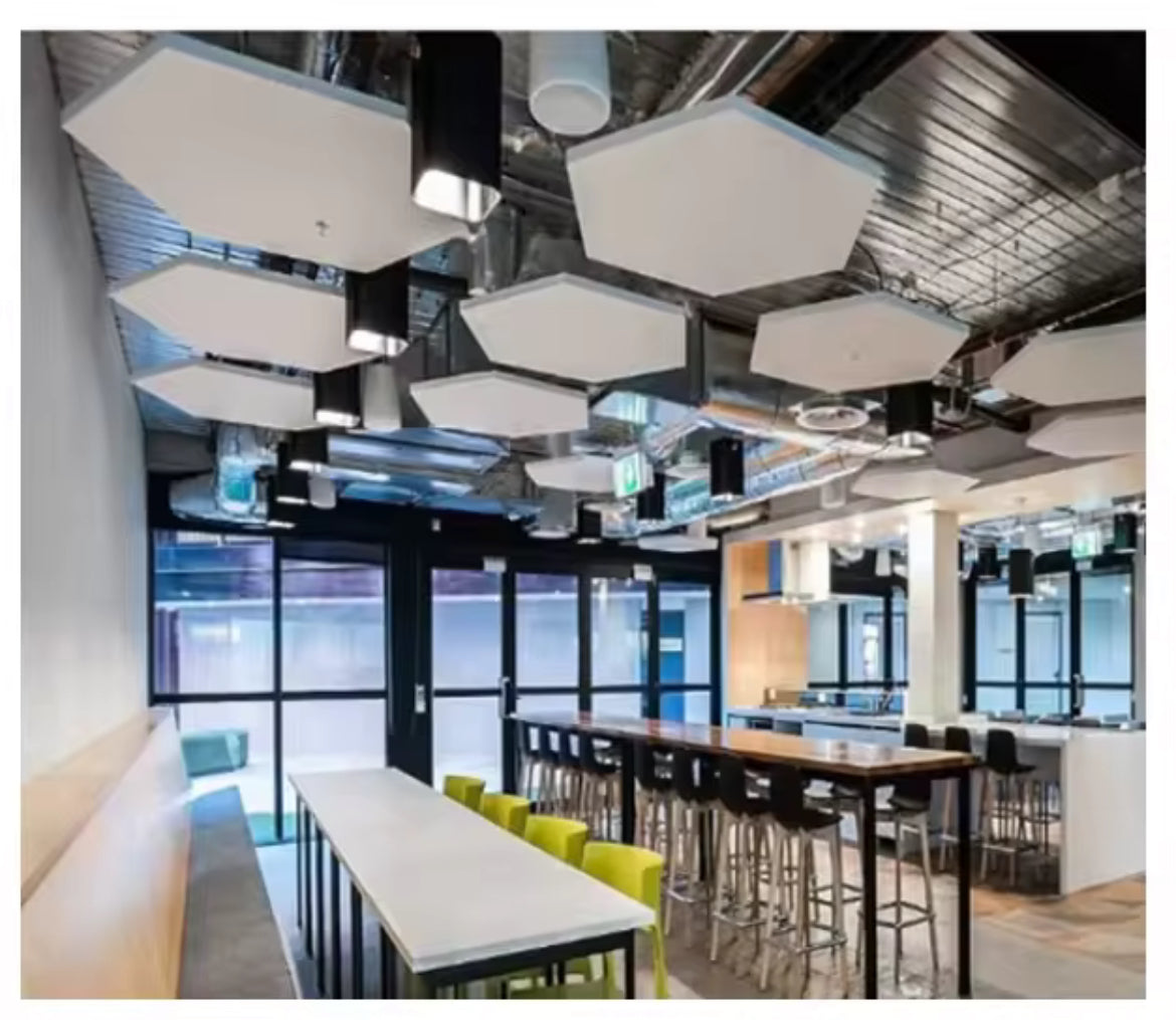 Acoustic Ceiling Baffle Creative Cut Outs