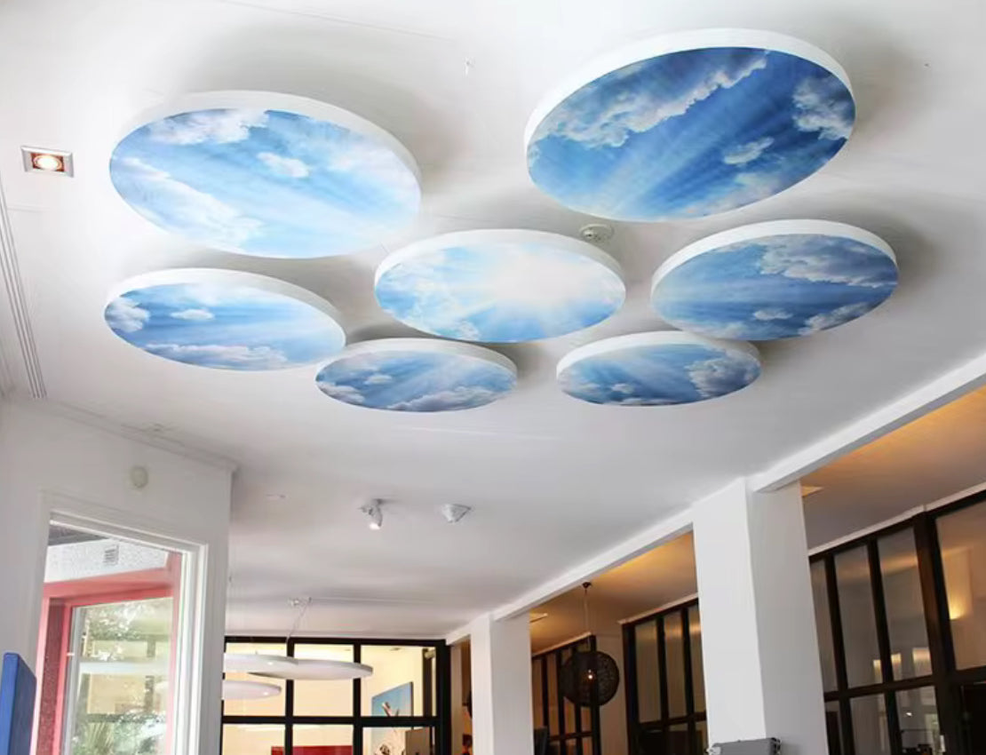 Acoustic Ceiling Baffle Circular