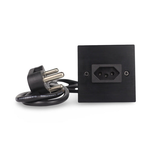 2-Pin Desktop Insert Socket