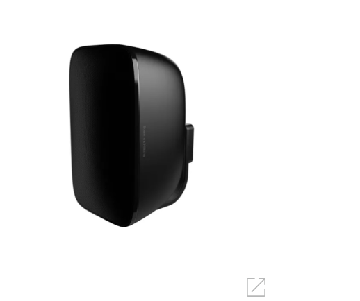 Bowers and Wilkins AM-1 Outdoor Speaker
